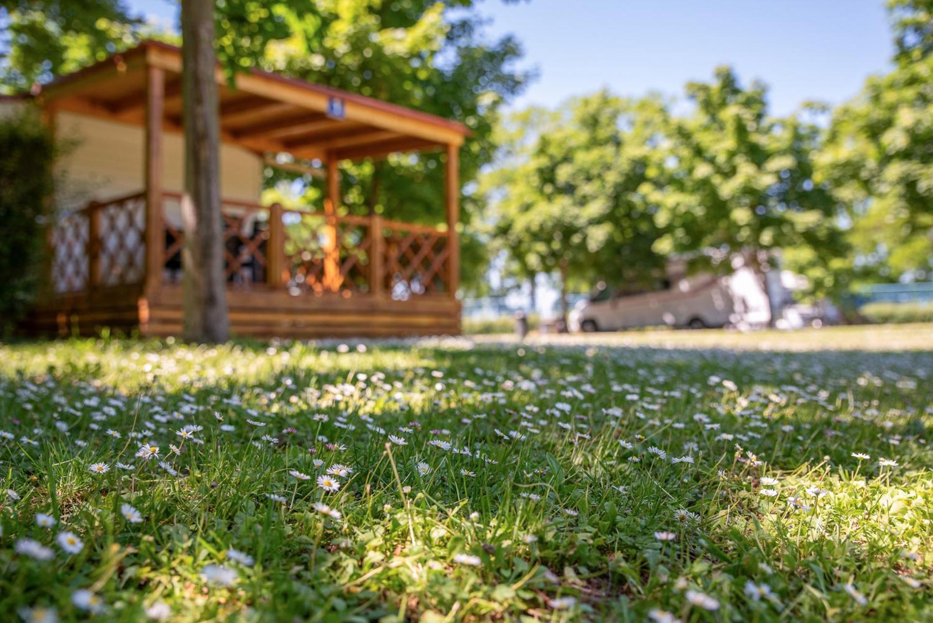 Hungarospa Thermal Camping Mobilhaz Hajdúszoboszló المظهر الخارجي الصورة